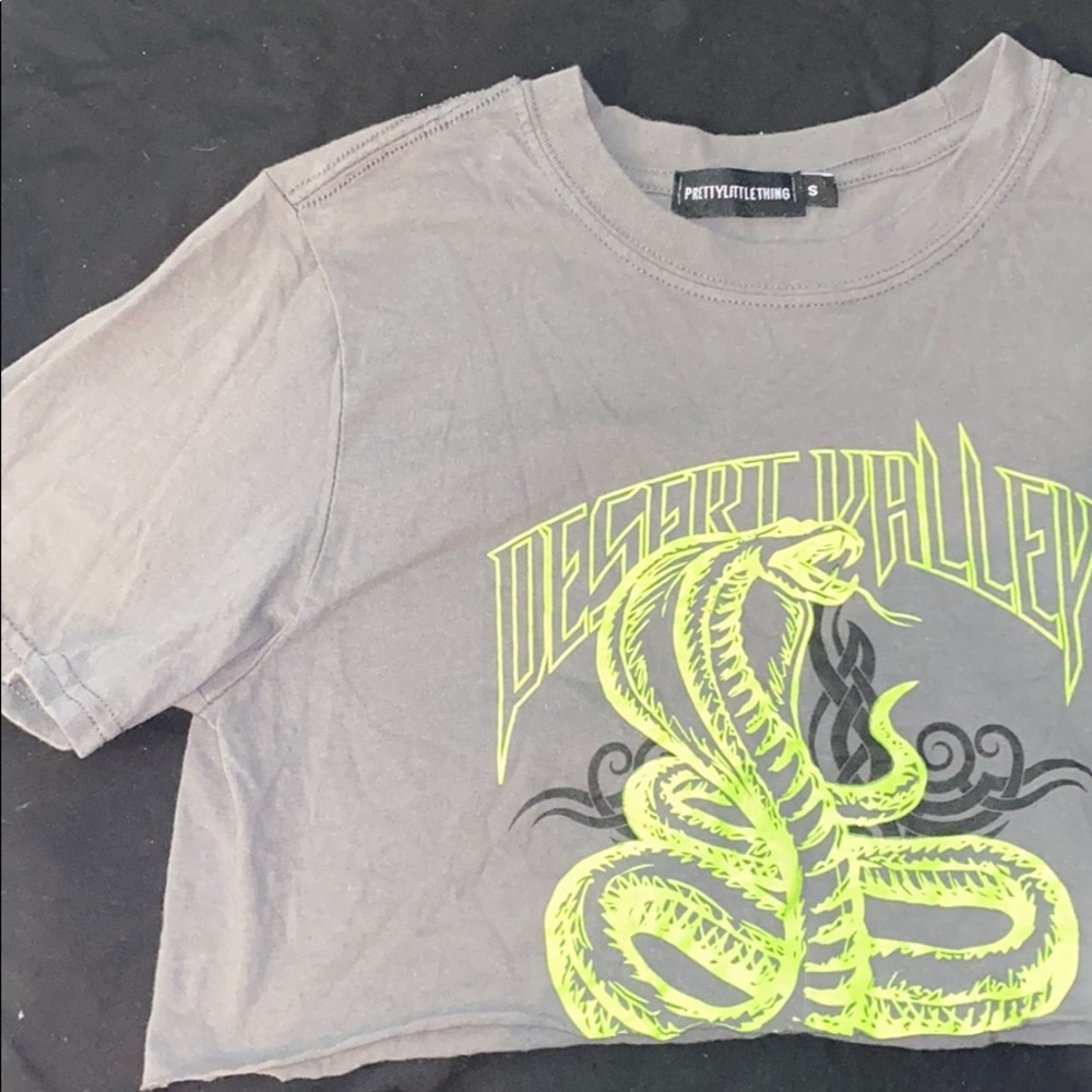 Pretty Little Thing Dragon Cropped T-shirt